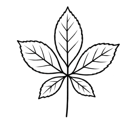 Circulav sostenibilidad