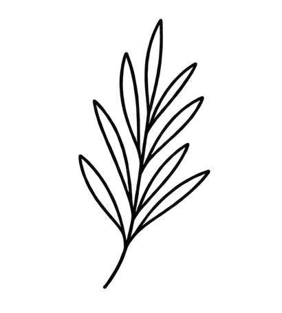 Huella de carbono Circulav
